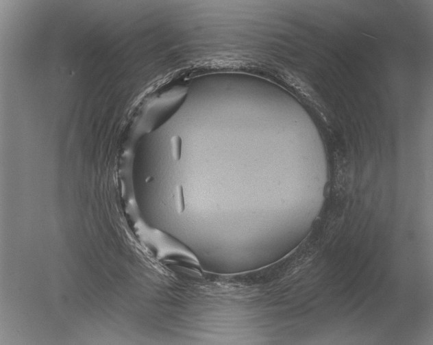 X0000080720681200701021055