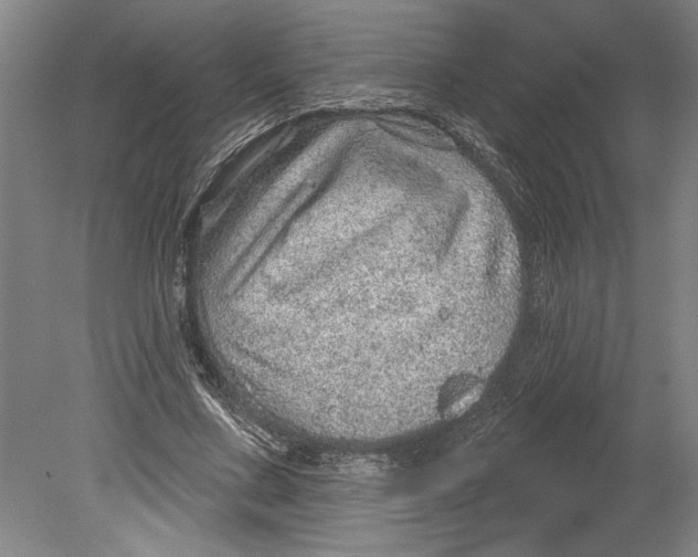 X0000080720683200701021055