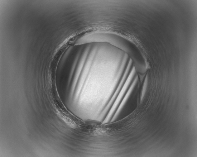 X0000080720684200701021055