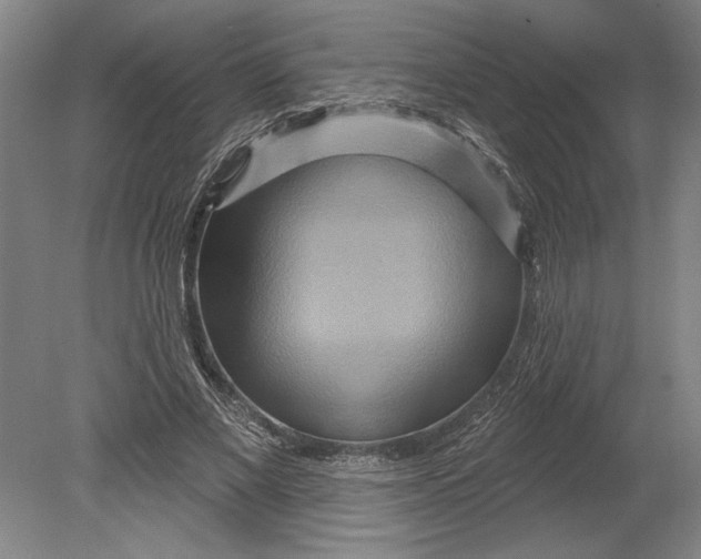 X0000080720685200701021055