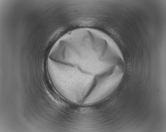 X0000080720686200701021055