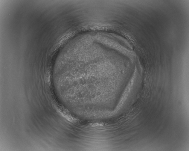 X0000080720687200701021055