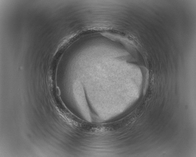 X0000080720688200701021055