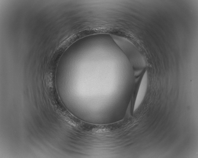 X0000080720689200701021055