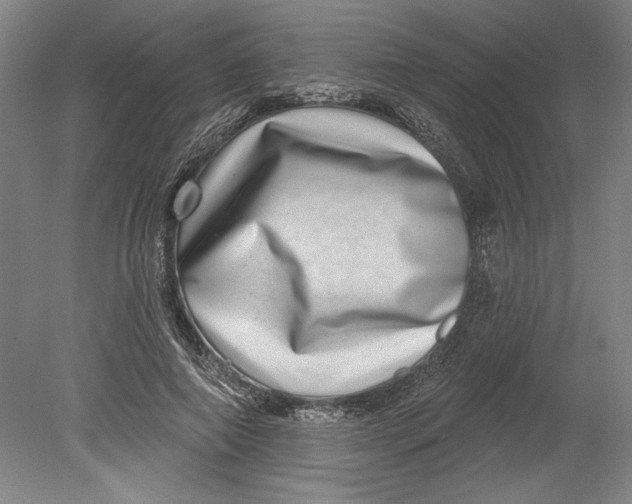 X0000080720690200701021054