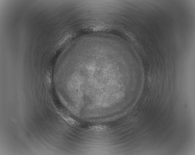 X0000080720691200701021054