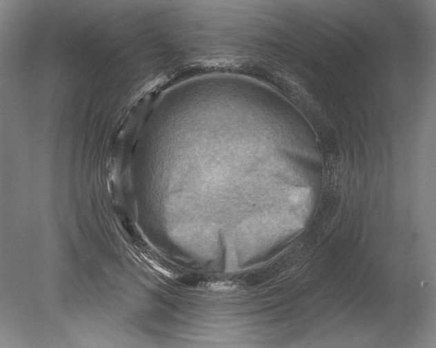 X0000080720692200701021054