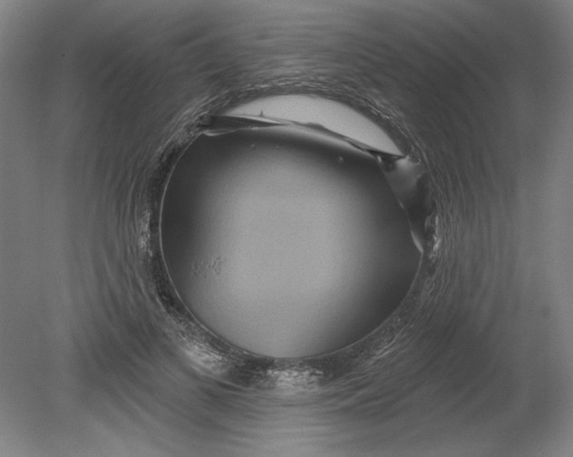 X0000080720693200701021054