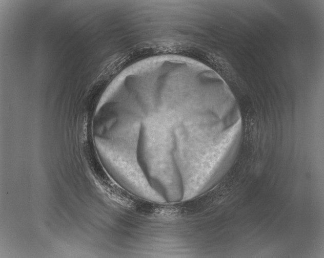 X0000080720694200701021054