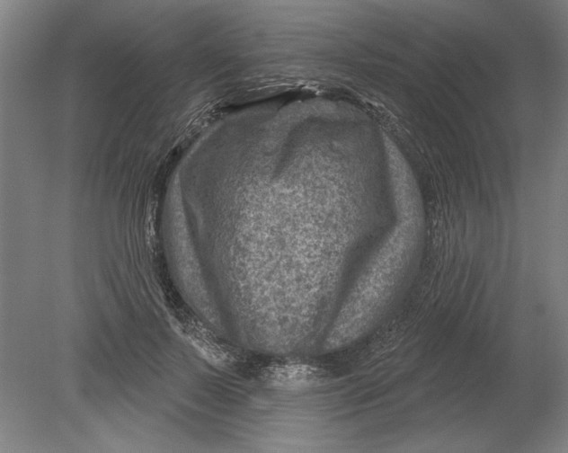 X0000080720695200701021054