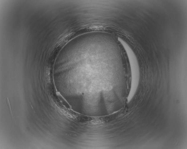 X0000080720696200701021054