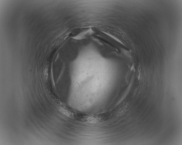 X0000080720697200701021054