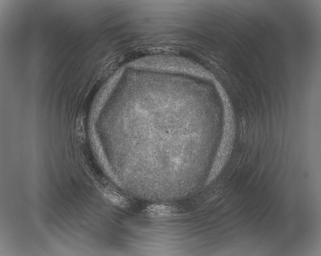 X0000080720699200701021054