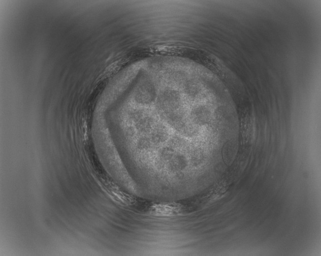 X0000080720703200701021054