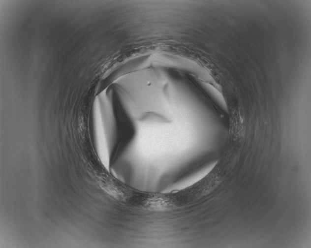 X0000080720704200701021054