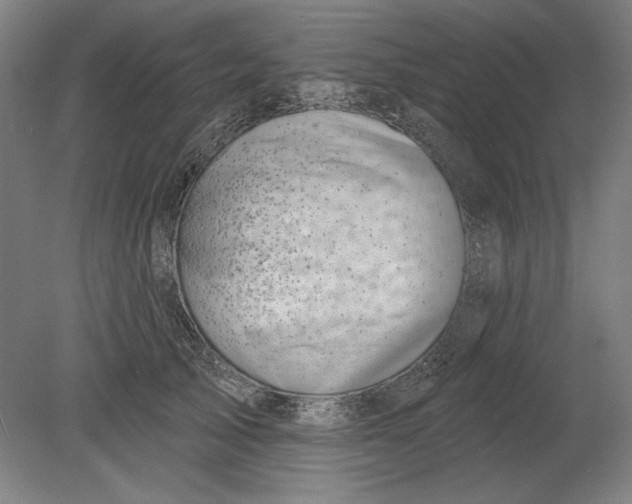 X0000080720705200701021054