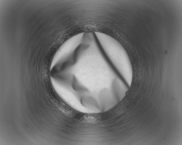 X0000080720706200701021054