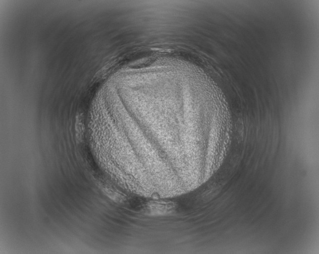 X0000080720707200701021054