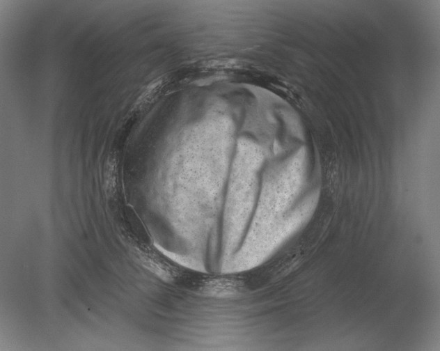 X0000080720708200701021054