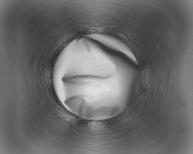 X0000080720714200701021054