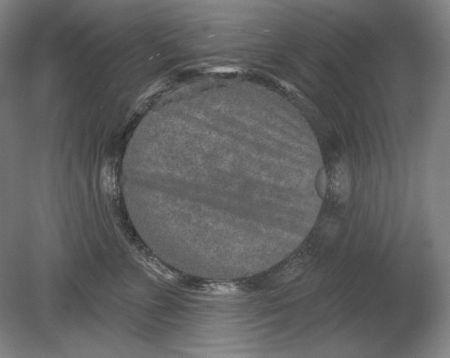 X0000080720715200701021054