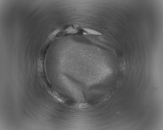 X0000080720716200701021054