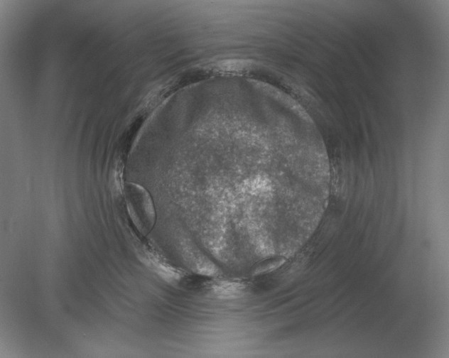 X0000080720718200701021054