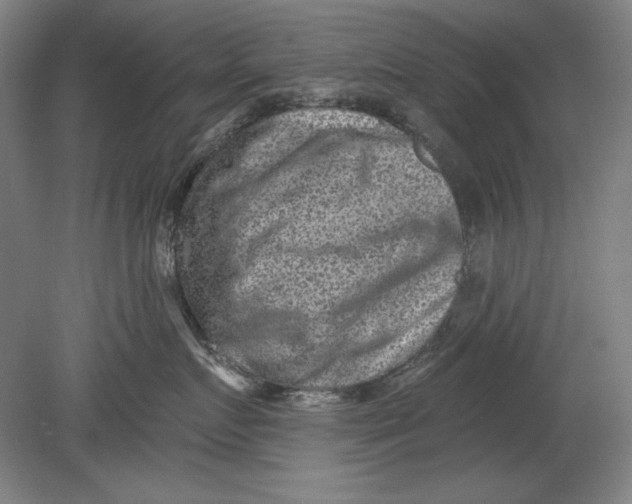 X0000080720719200701021054