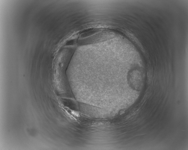 X0000080720721200701021053