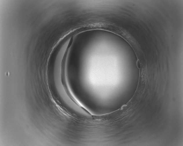 X0000080720722200701021053