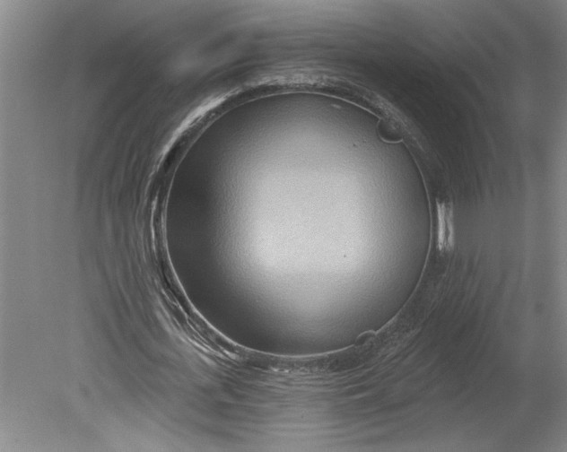 X0000080720723200701021053