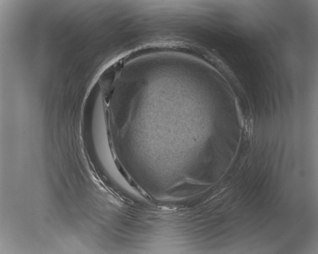 X0000080720724200701021053