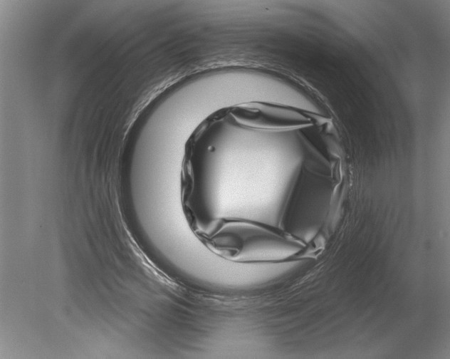 X0000080720725200701021053