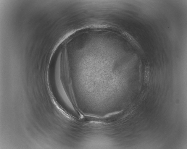 X0000080720726200701021053