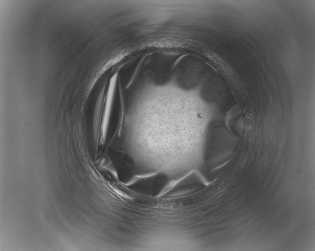 X0000080720727200701021053