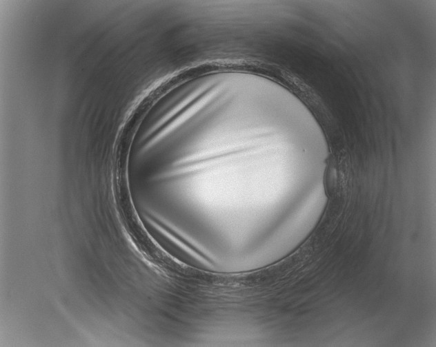 X0000080720728200701021053