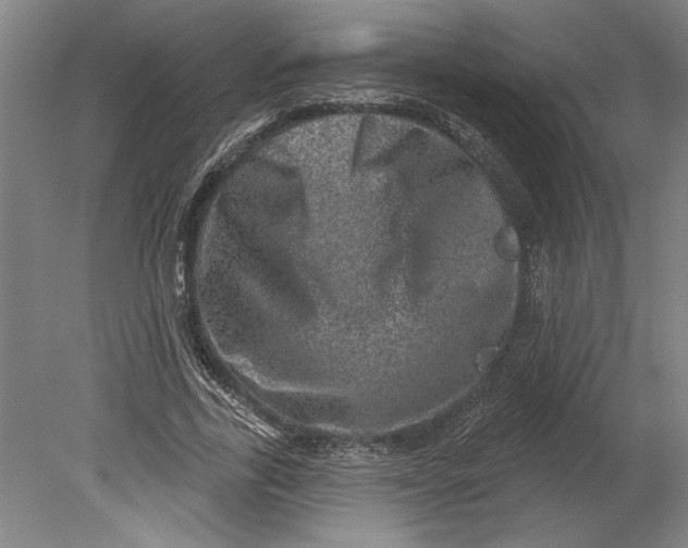 X0000080720731200701021053