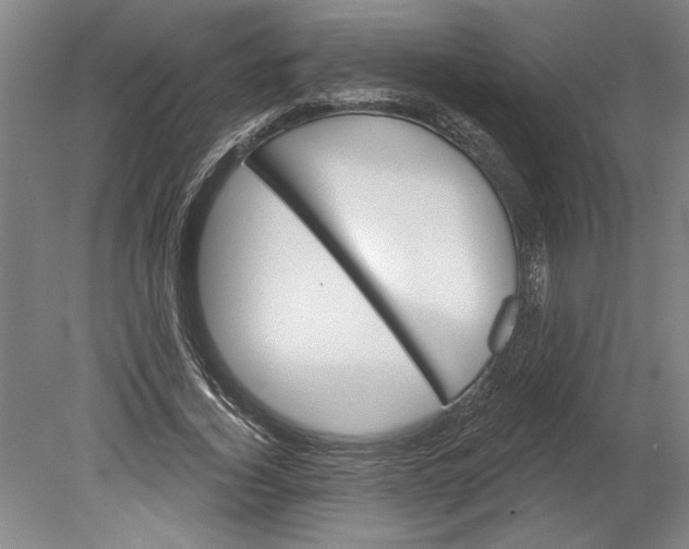 X0000080720732200701021053