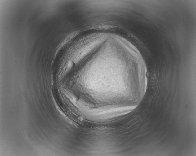 X0000080720734200701021053