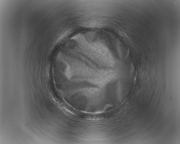 X0000080720735200701021053