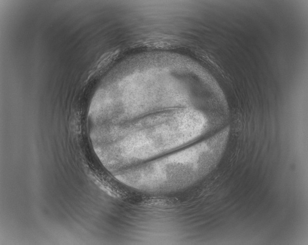 X0000080720738200701021053