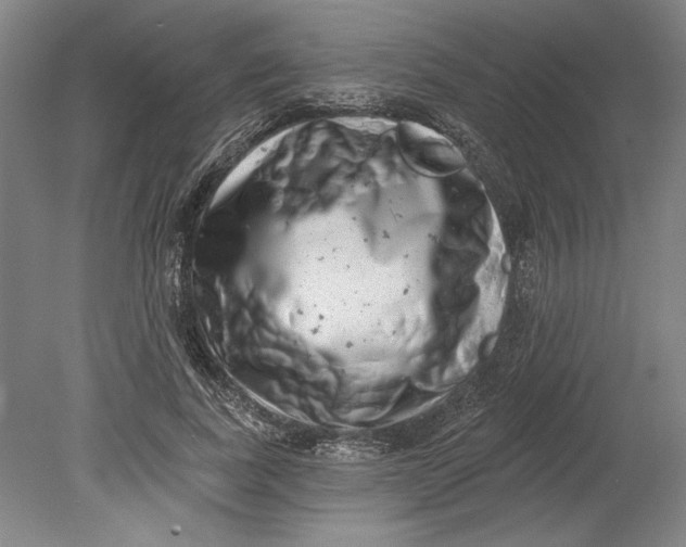 X0000080720739200701021053