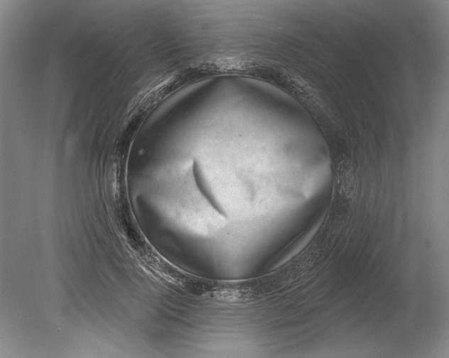 X0000080720740200701021054