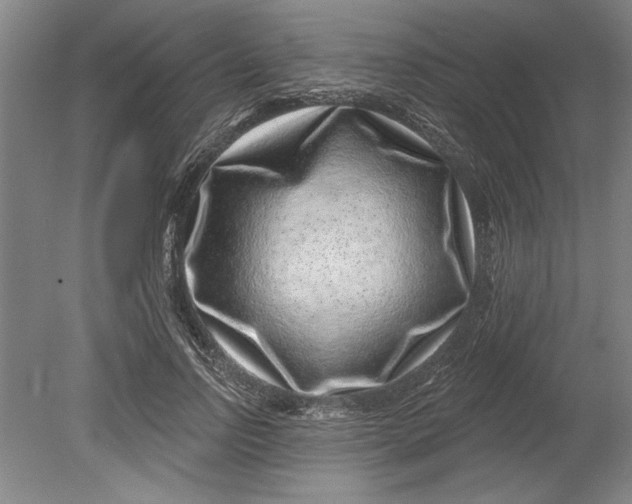 X0000080720742200701021054