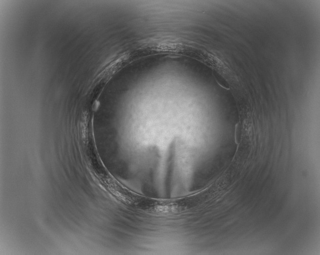 X0000080720744200701021054