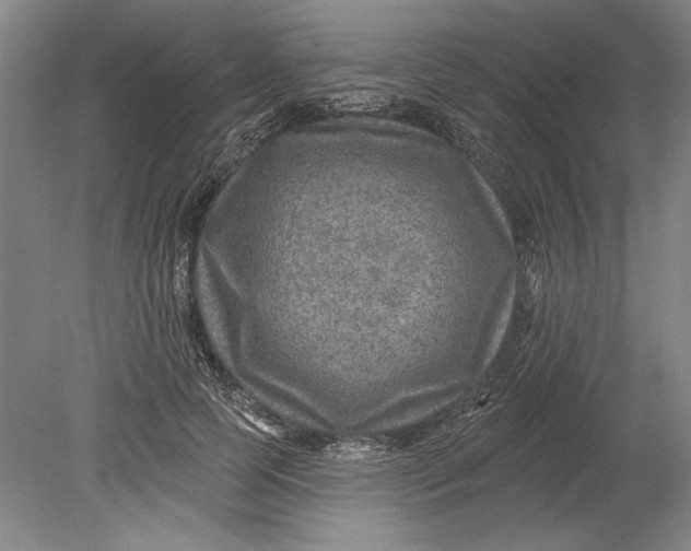 X0000080720745200701021054