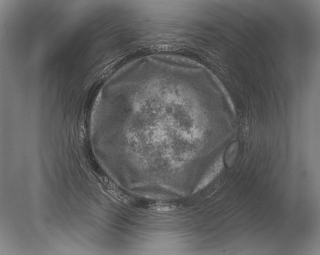 X0000080720746200701021054