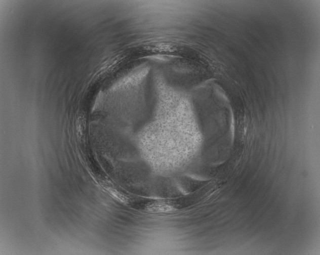 X0000080720747200701021054