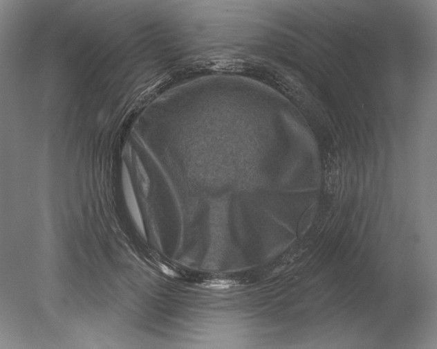 X0000080720748200701021054