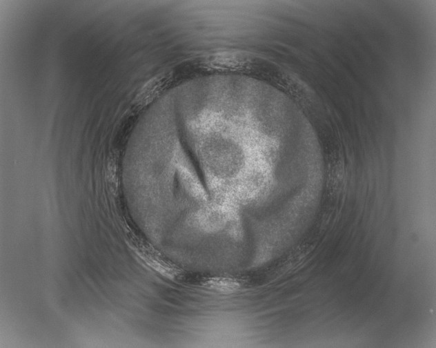 X0000080720749200701021054